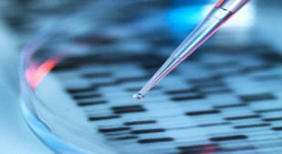 Учените са отглеждали стомаха на човек в лаборатория