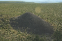 Учените започнаха да разгадават мистерията на така наречената „Долина на смъртта“ 