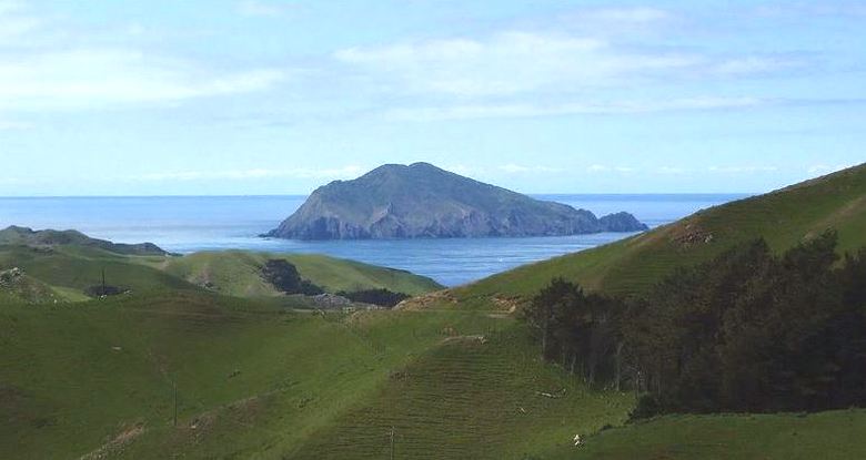 Невероятната история на една котка, която унищожи цял вид птица за по-малко от година.