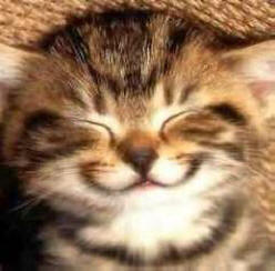 Невероятни факти, които ви карат да се усмихвате.