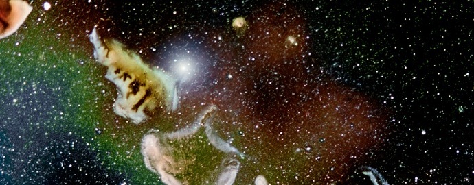 Невероятни снимки: микрокосмос в обектива