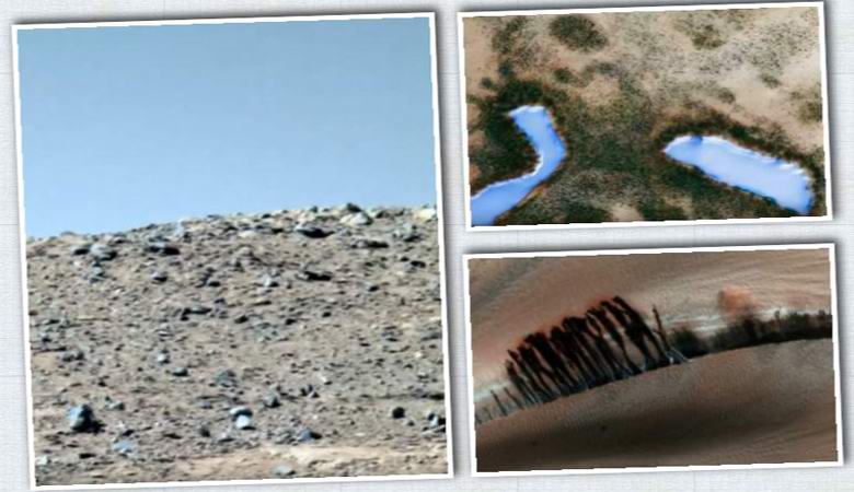 „Уфолозите