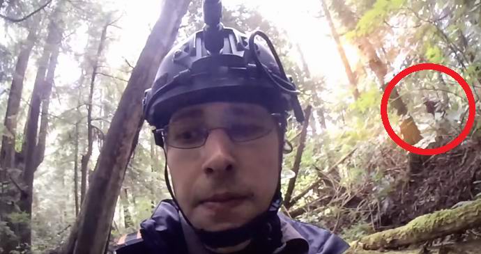 Йети случайно забелязан в американско телевизионно шоу