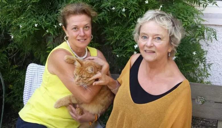 Котките изчезват мистериозно в английската провинция