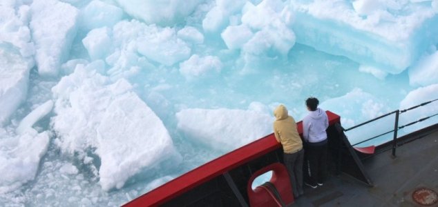 Огромните континенти бяха в Арктика преди милиони години.