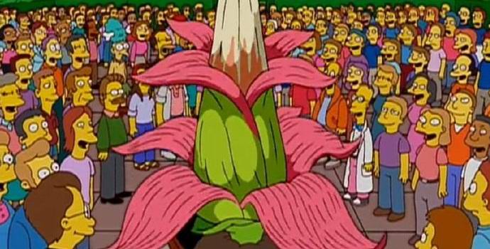 В Белгия цъфна гигантско миризливо цвете