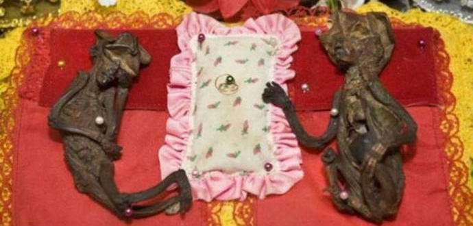 Мумифицираните феи се съхраняват в будистки храм