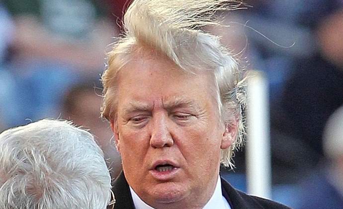 Молец, подобен на него, е кръстен на Доналд Тръмп.