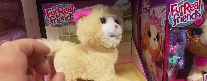 Демон влива играчка коте?