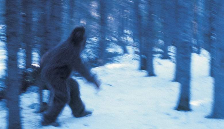 В Канада заловен голям снежен човек