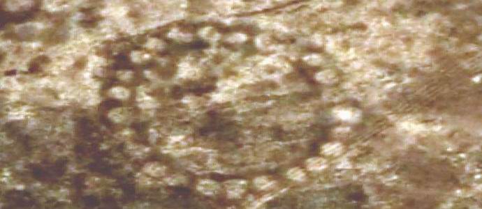 В Казахстан бяха открити огромни наземни рисунки