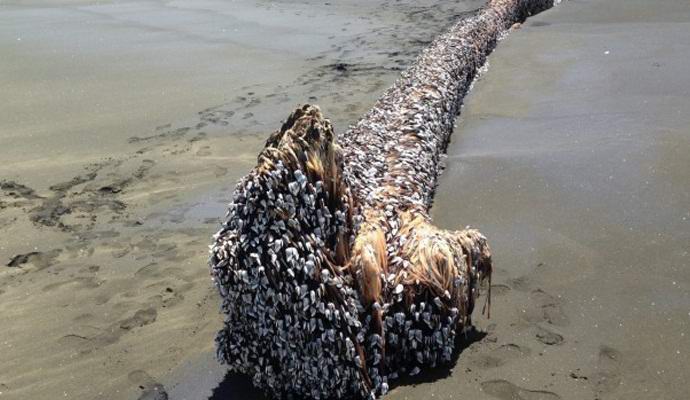 „Безформено