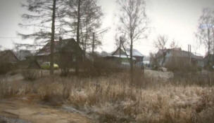 В село Нов живот близо до Москва се случва истинска дяволия