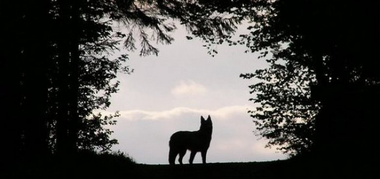 „Мистериозно