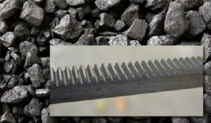 В Русия беше открита извънземна зъбна рейка на 300 милиона години