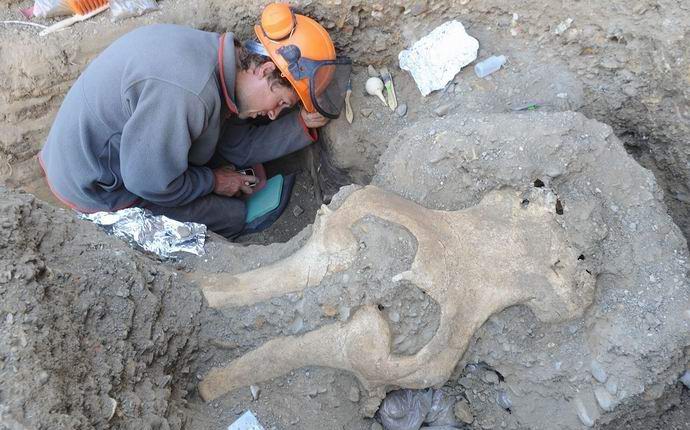 В Съединените щати открих тайнствен череп