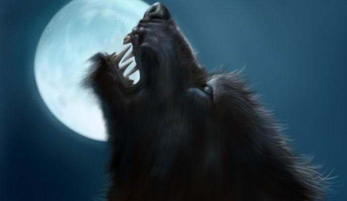 „Международна