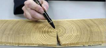 През VIII век Земята беше поразена от мистериозен космически лъч