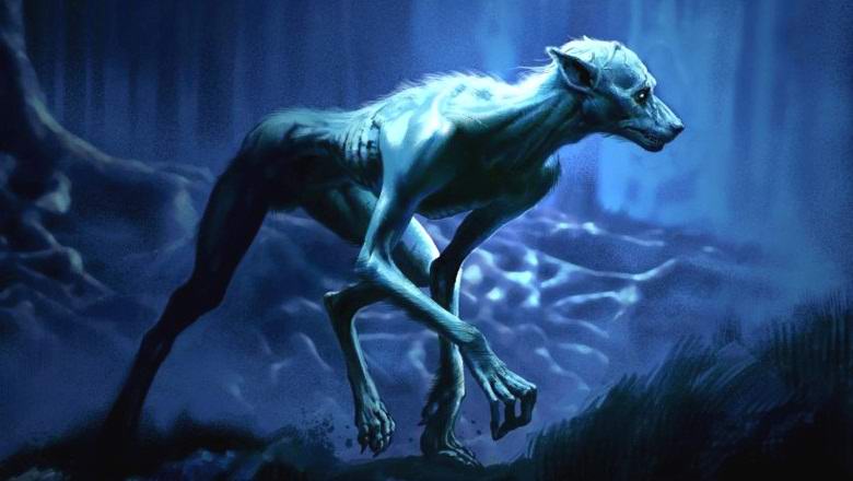 В Южна Африка, заснети легендарния човек-куче?