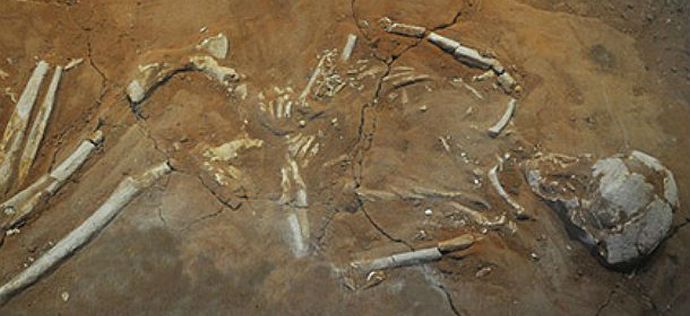 Вампирите все още живеят сред нас.