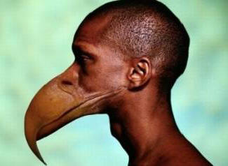 Вместо зъби хората ще имат клюн.