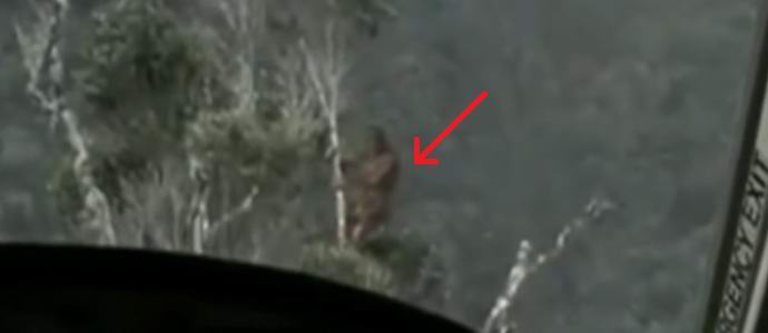 По време на войната във Виетнам американците заснеха мистериозния примат