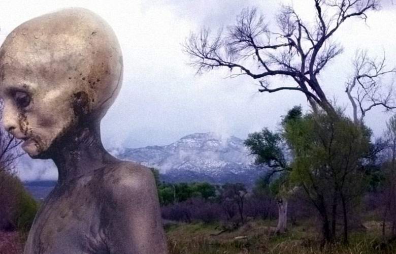 „Възстановена