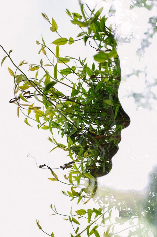 „Впечатляващи