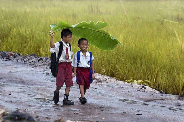 1sthalf1306 впечатляващи снимки от първата половина на 2013 г.