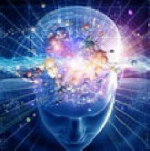 За първи път в историята учените заснеха как мозъците ни формират спомени. Видео