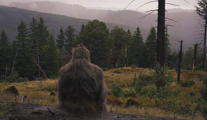 За залавянето на снежен човек обеща милион долара