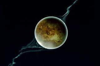 Защо Земята отвлече Луната от Венера?