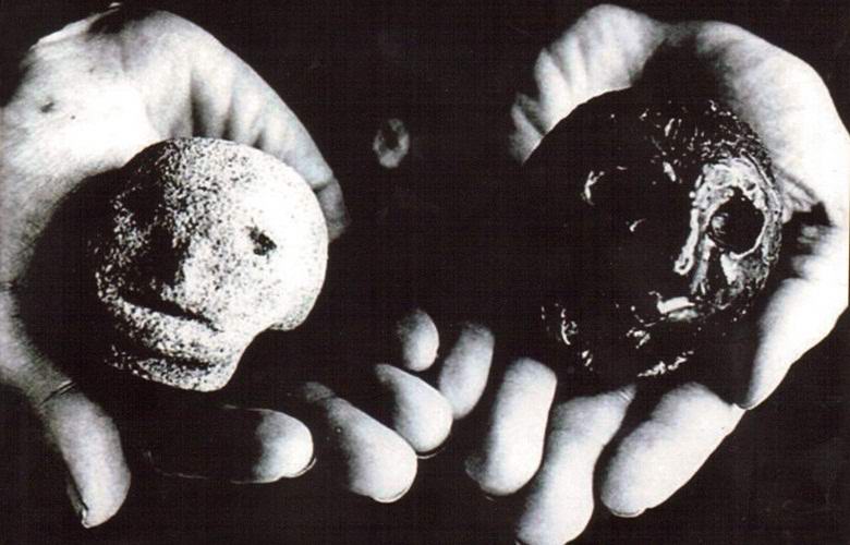 Тайнствени глави на Хексем, до които започват да се появяват необясними феномен. 