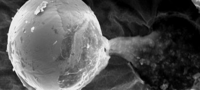 „Мистериозен