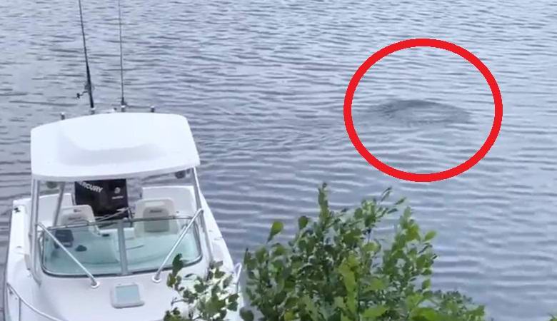 „Мистериозен