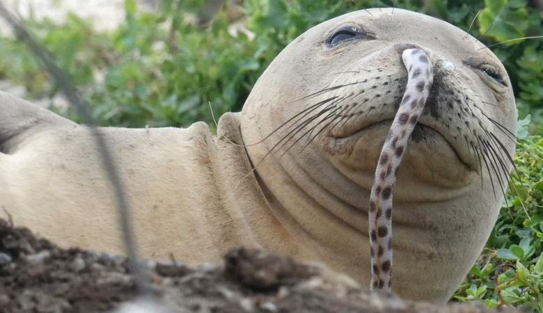 Мистериозен