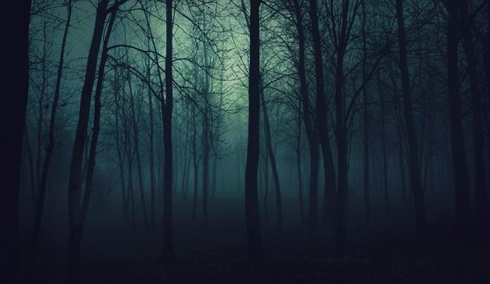 Страхливият